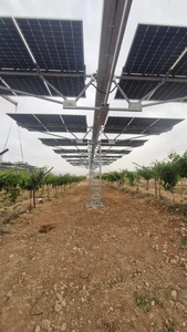 פרויקט אגרו פוטו וולטאי  מעלה גלבוע